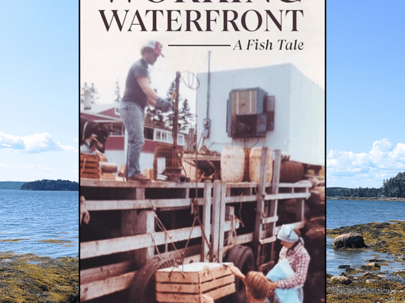 Working Waterfront: A Fish Tale by Bill Gerencer Book&nbsp;Review
